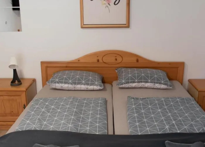 Pansiyon Hisa Bistrica *